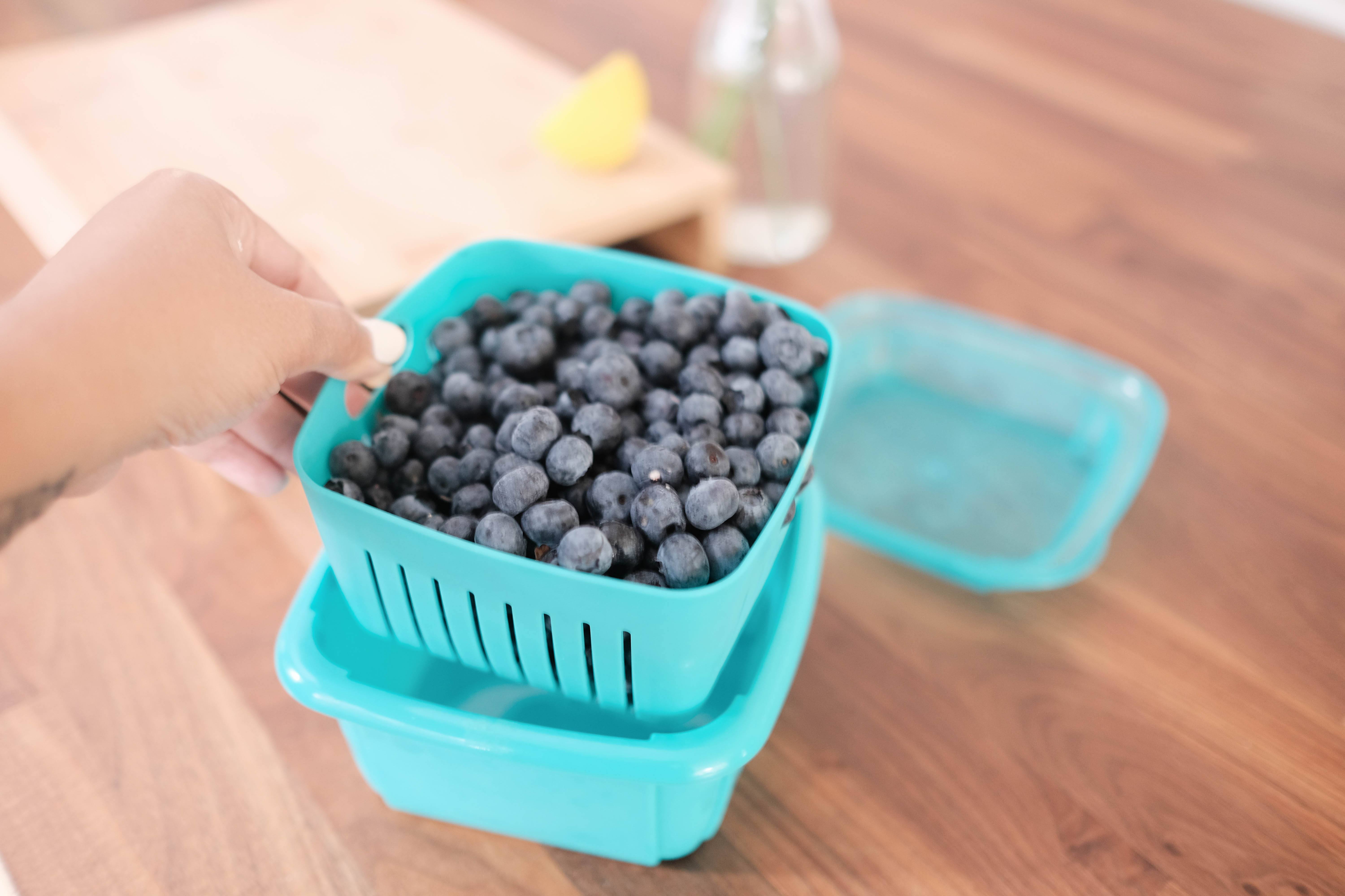 blueberry snack containers
