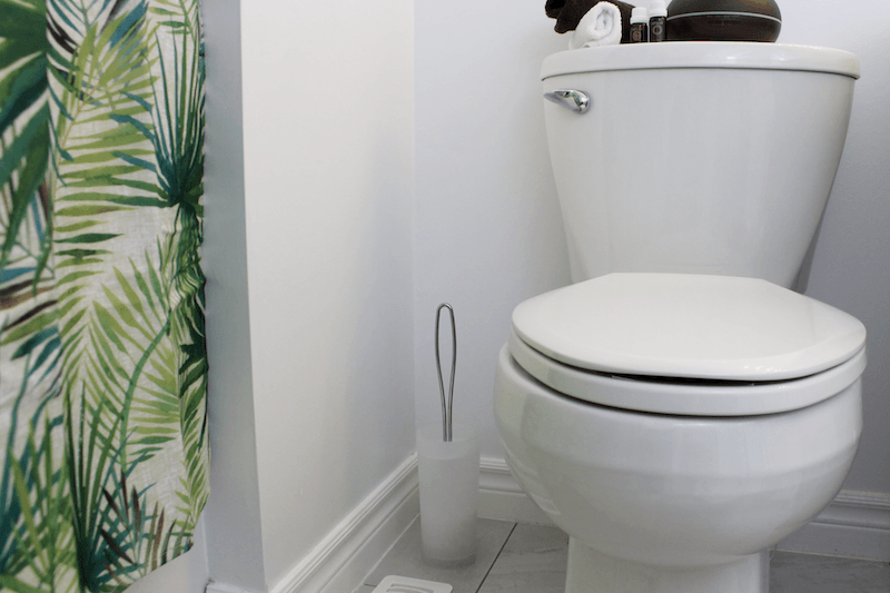white toilet brush beside a toilet